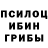 Галлюциногенные грибы GOLDEN TEACHER SAREx