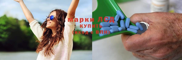 ГАЛЛЮЦИНОГЕННЫЕ ГРИБЫ Бронницы