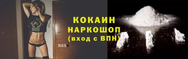 тгк Няндома