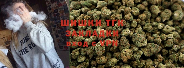 тгк Няндома