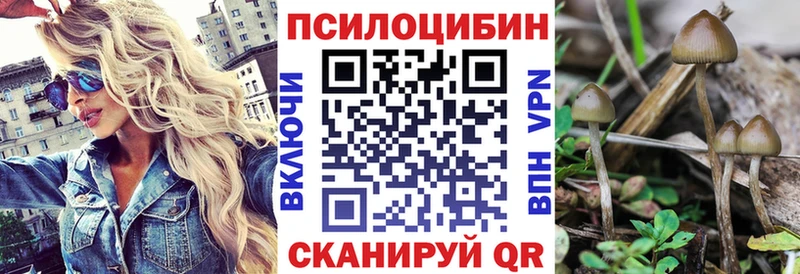 Галлюциногенные грибы GOLDEN TEACHER  Торопец 